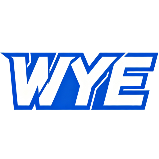 WYE战队logo